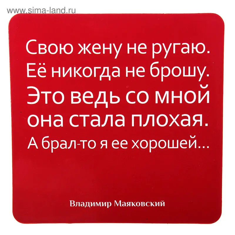 Магнит "Свою жену не ругаю"