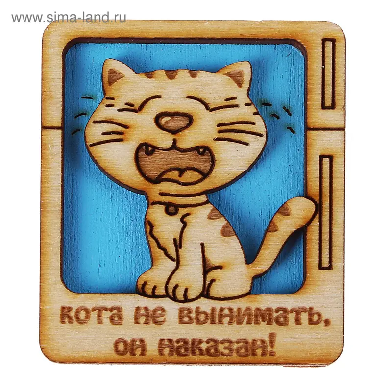 Оберег на магните "Кота не вынимать"