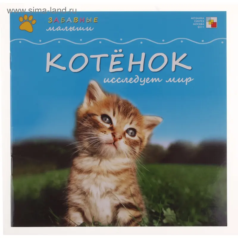 Книга "Котенок исследует мир". Забавные малыши
