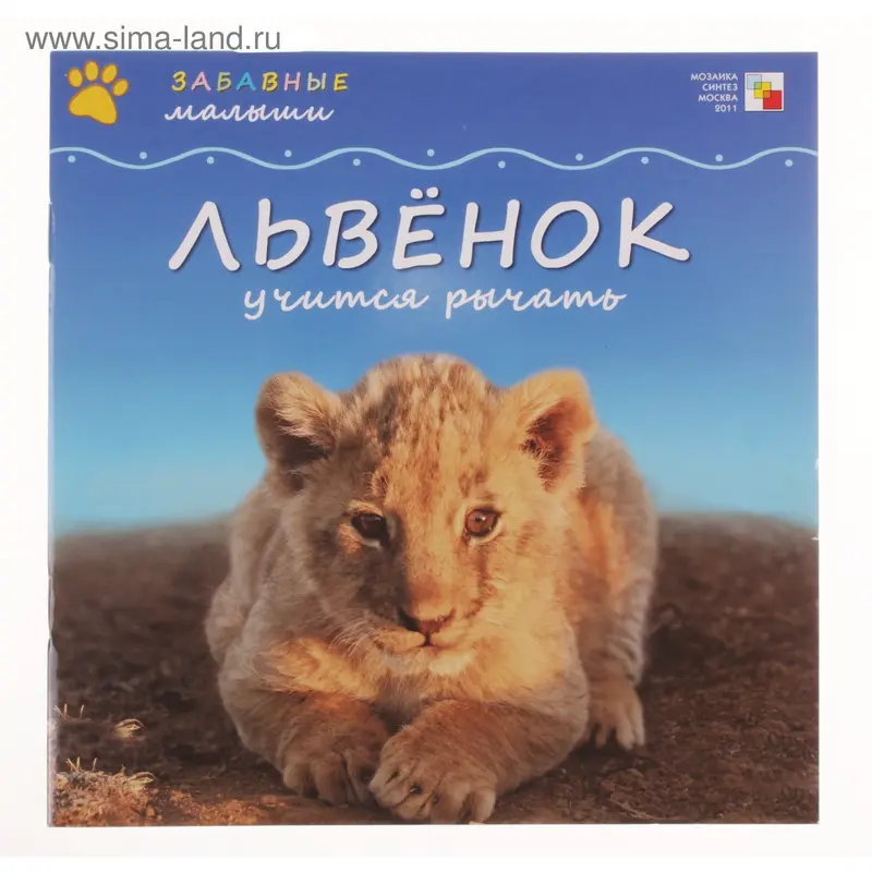 львенок учится рычать.Забавные малыши