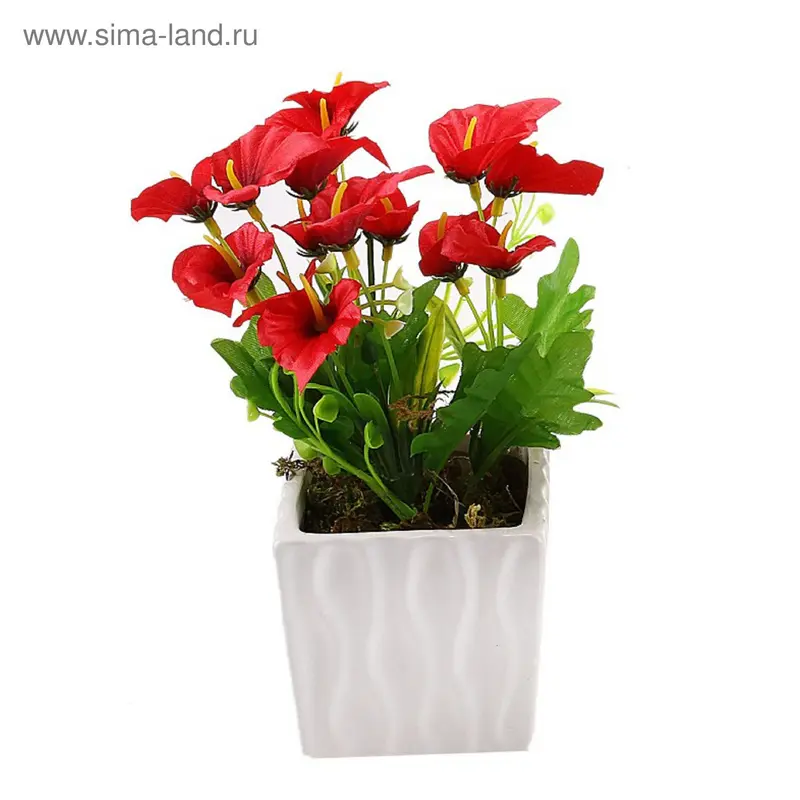 композиция в глянц горшочке 20*9 см антриум