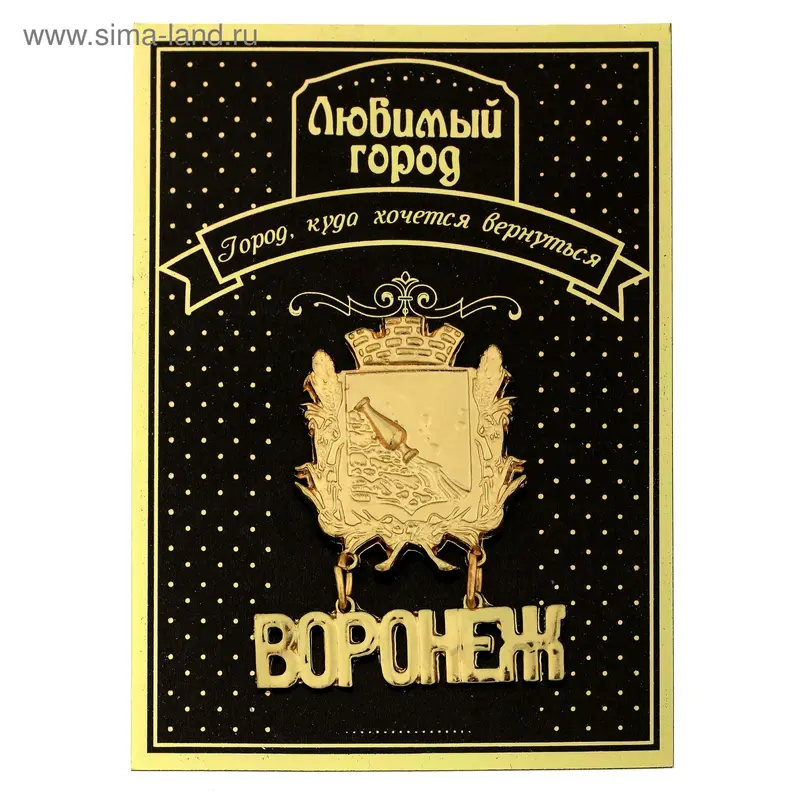 Магнит с подвеской "Воронеж"