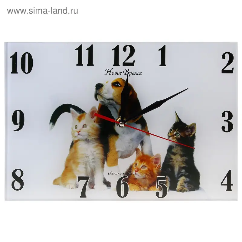 часы настенные Животные дп426 Кошки
