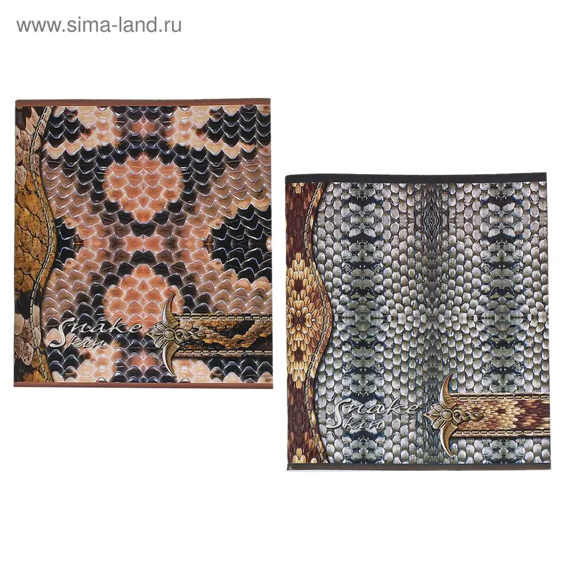 тетрадь 48л кл Snake Skin УФ-лак ТО48К9192/UV