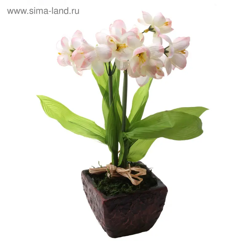 композиция цветы 25 см
