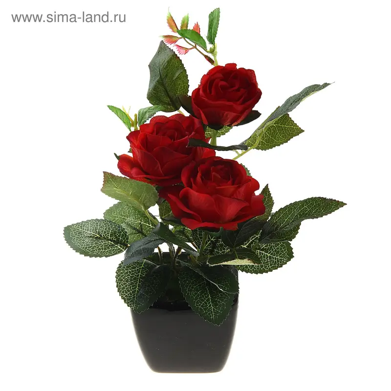 композиция в горшке 22*8 см пышные розы