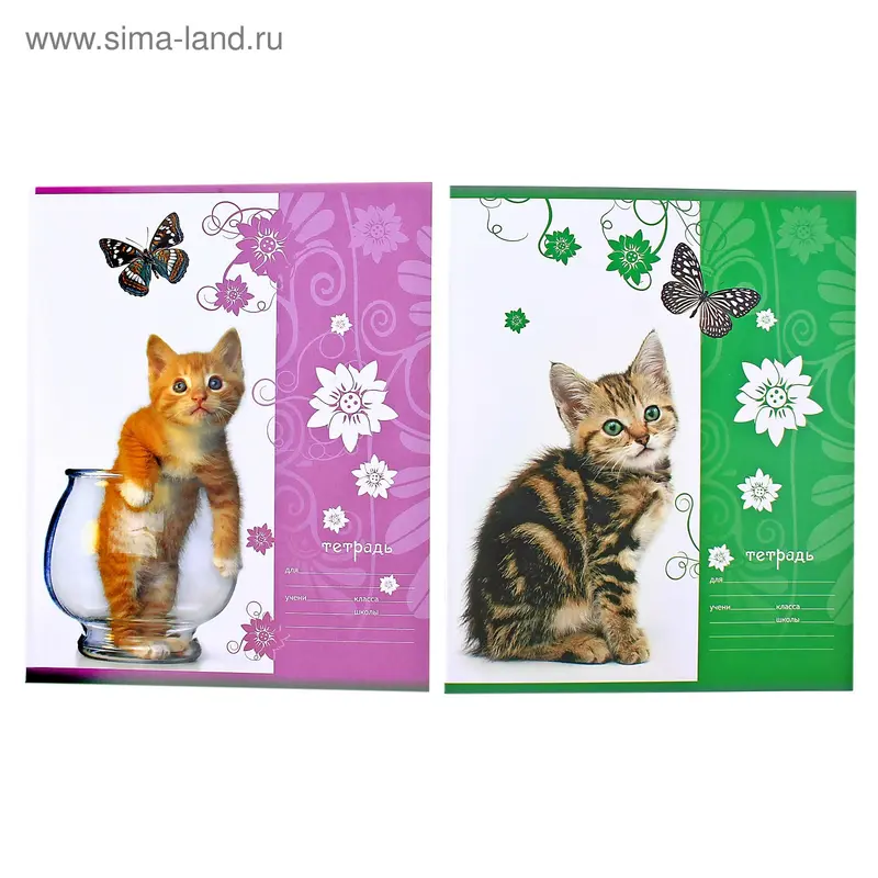 Тетрадь 12 листов клетка "Котята"
