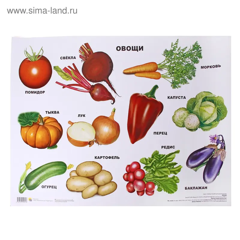 плакат а картоне А2. Овощи