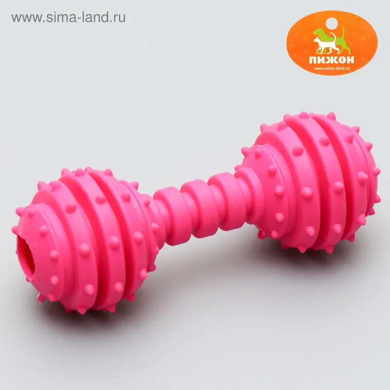 Игрушка жевательная "Чемпион", TPR, 12,5 см, микс цветов