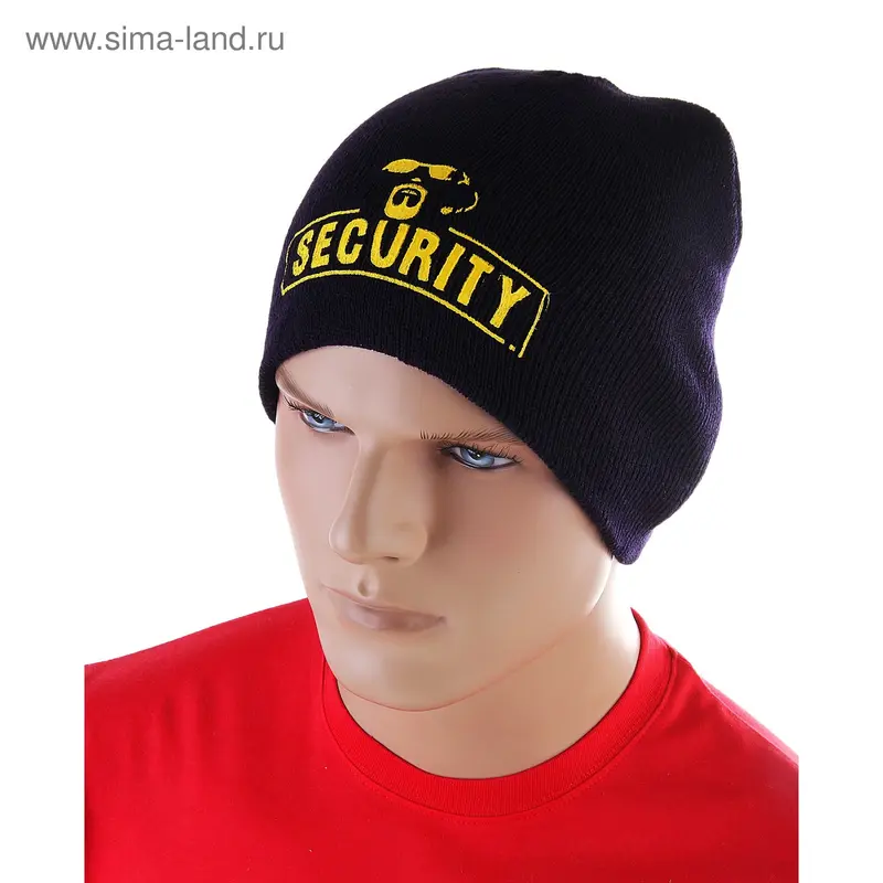 Шапка "Security"