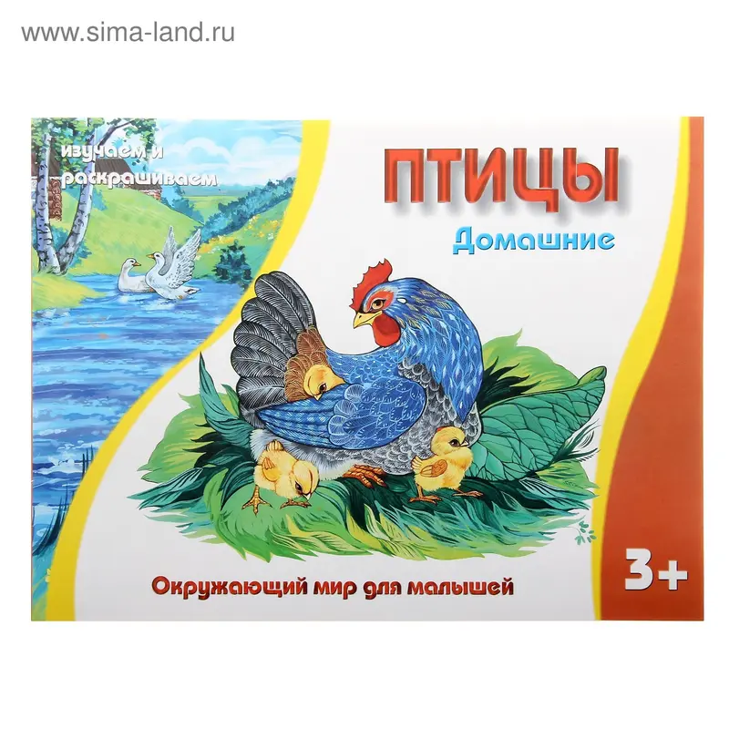 раскраска Домашние птицы 16стр