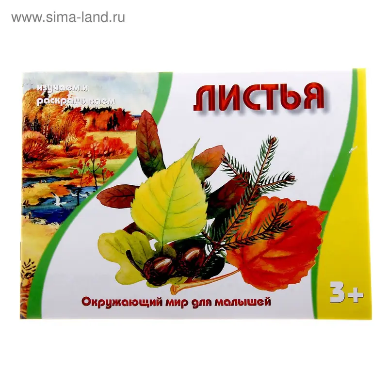 раскраска Листья 16стр