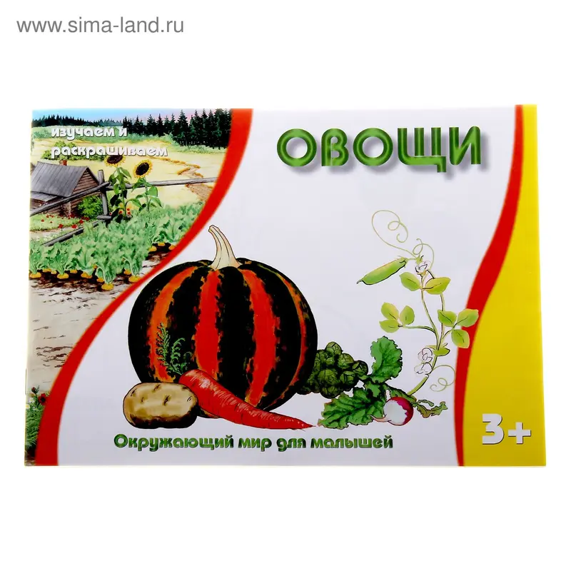 раскраска Овощи 16стр