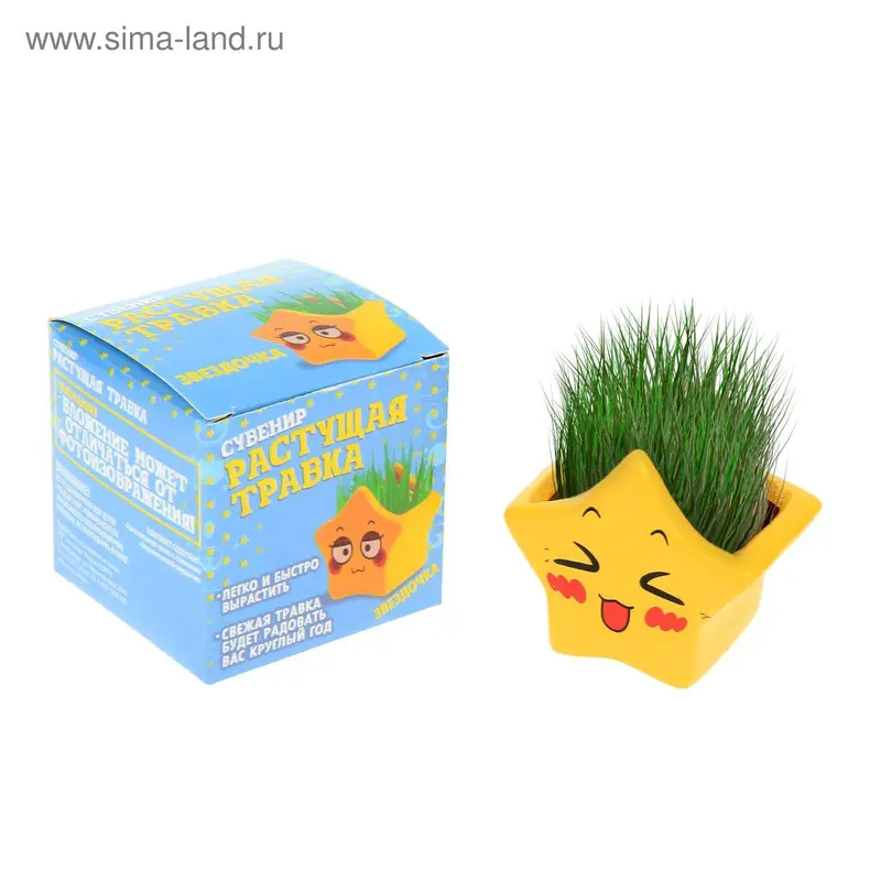 Растущая трава "Звёздочка" МИКС 6х5,7х4 см