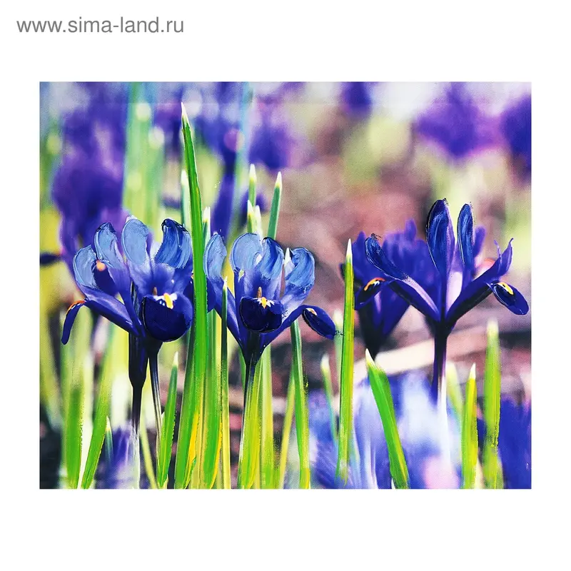 Картина-холст на подрамнике 25*30 см ирисы