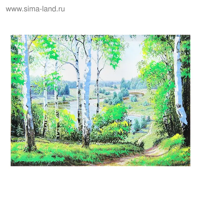 картина холст 30*40 см лесная тропка