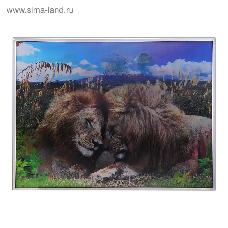 картина объемная 30*40 см 3D львы