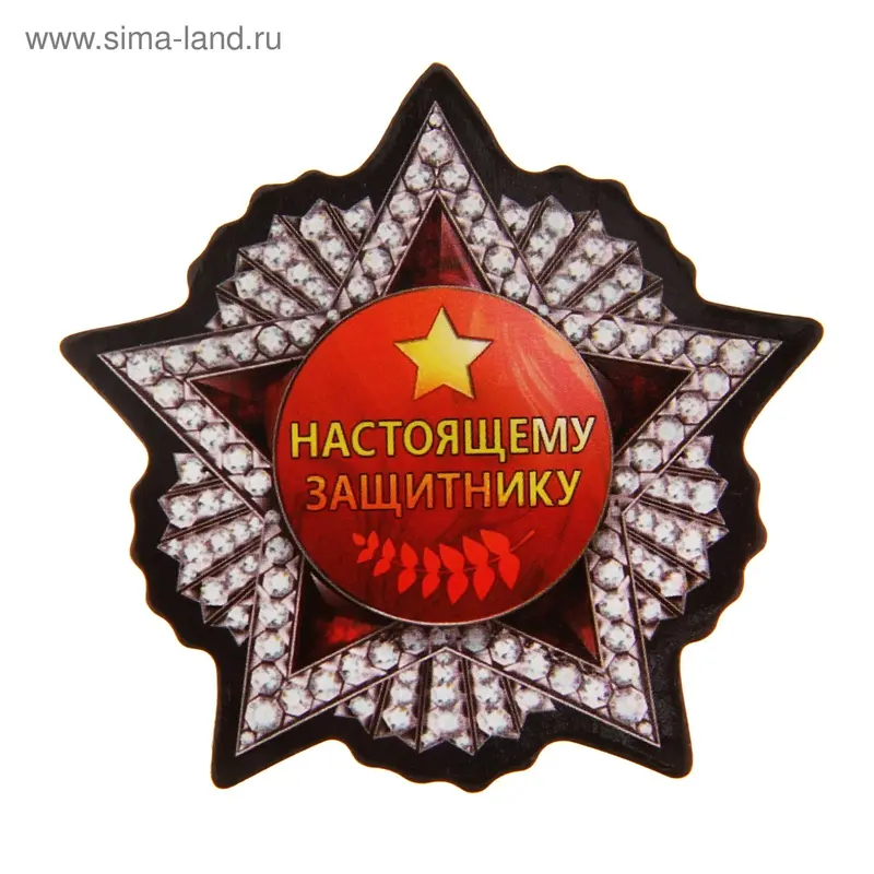 Магнит "Настоящему защитнику"