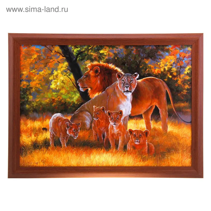 Картина Львиный прайд №45-О д.с. 50х70 см