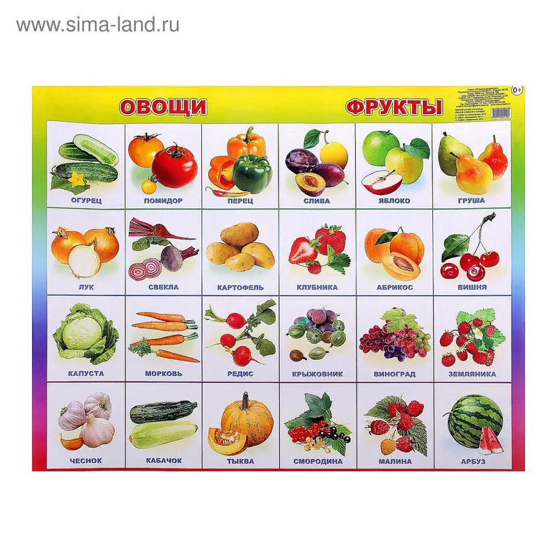 плакат "Овощи, фрукты"