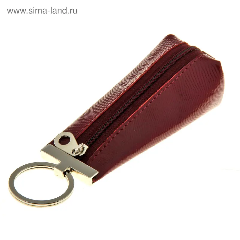 Ключница, бордовая игуана, 2 кольца, на молнии