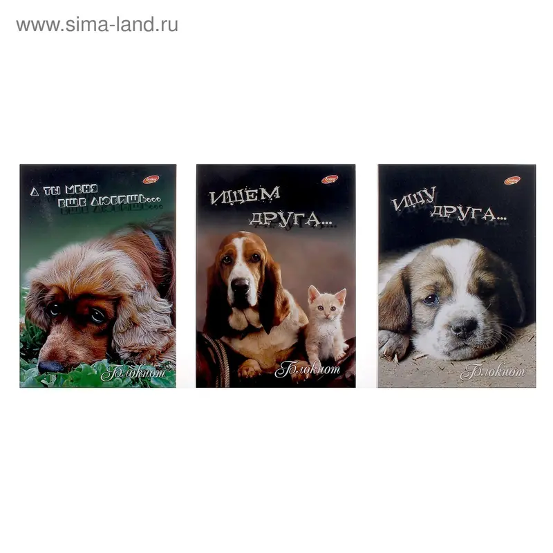 Блокнот А6+ 50л клетка "Ищу друга" 12*17см, клей, МИКС