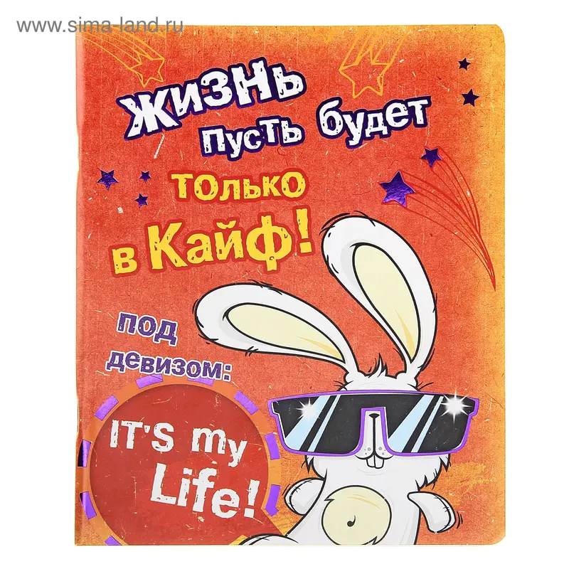 Тетрадь 24 листа в клетку "В кайф" фольга