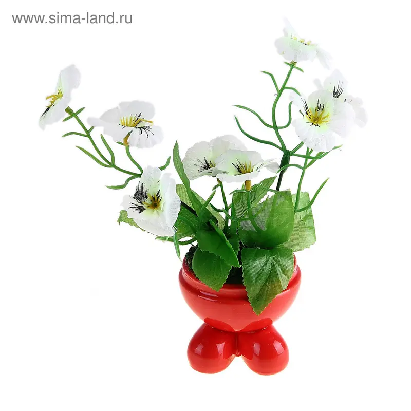 композиция бегония 20*15 см