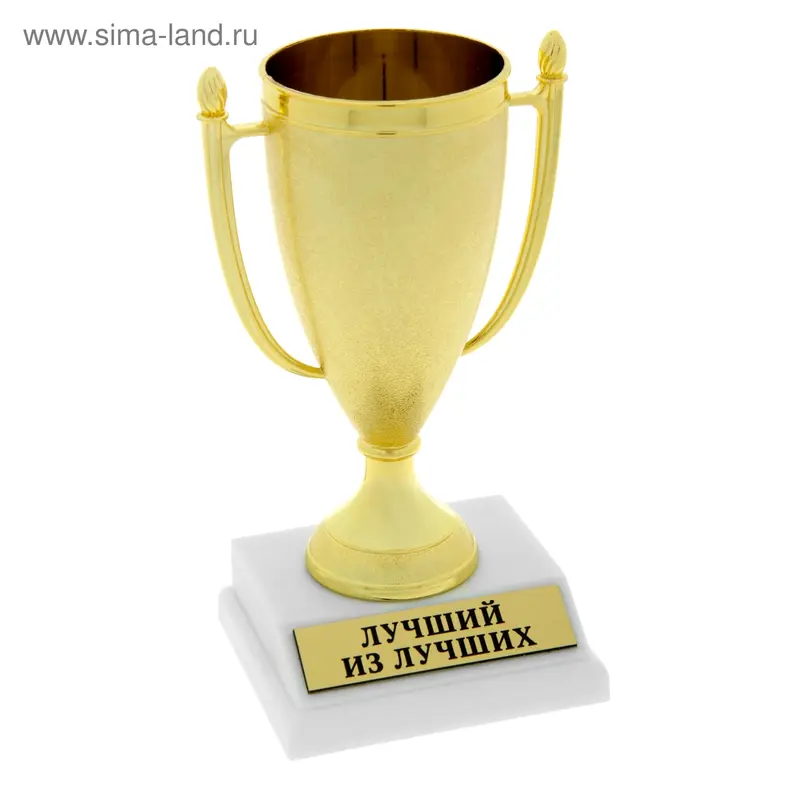Кубок матовый "Лучший из лучших"