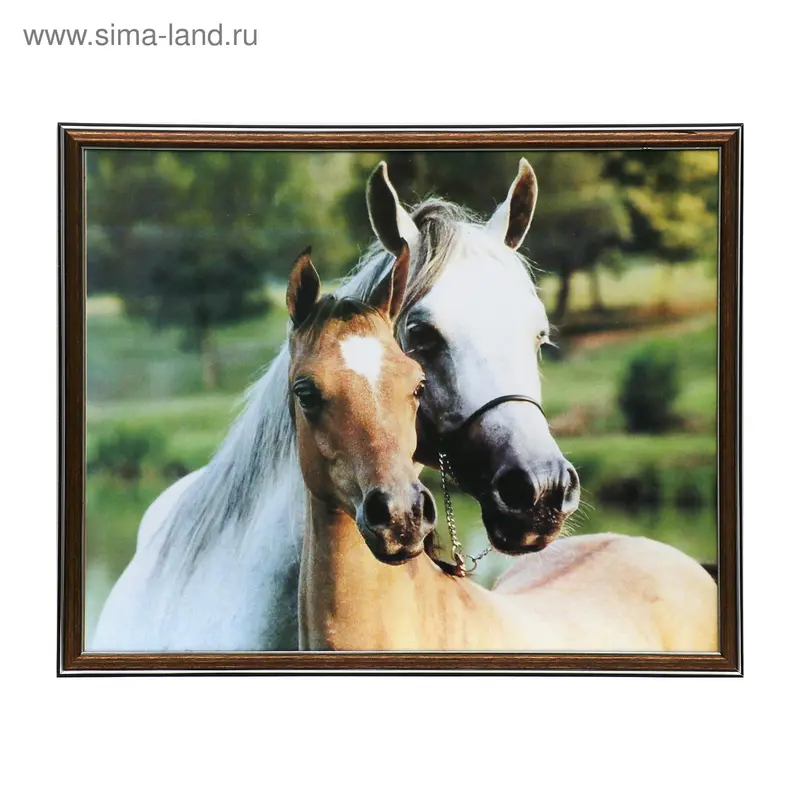 Картина "Кони" 50*40см