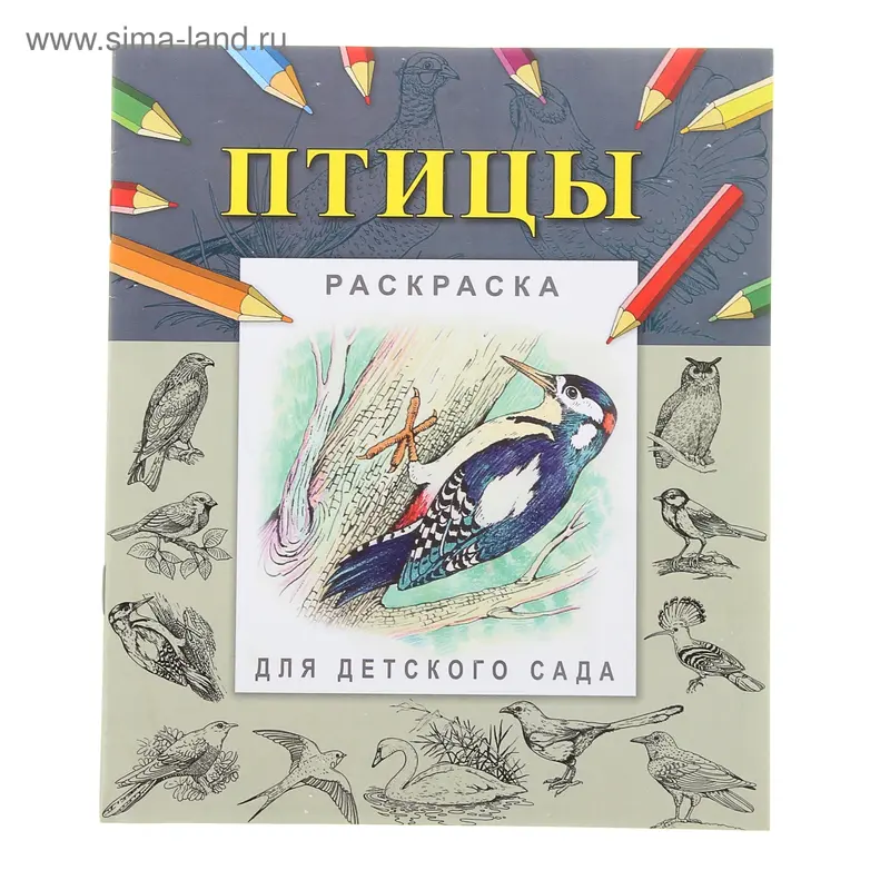 Раскраска-пропись для детского сада "Птицы"