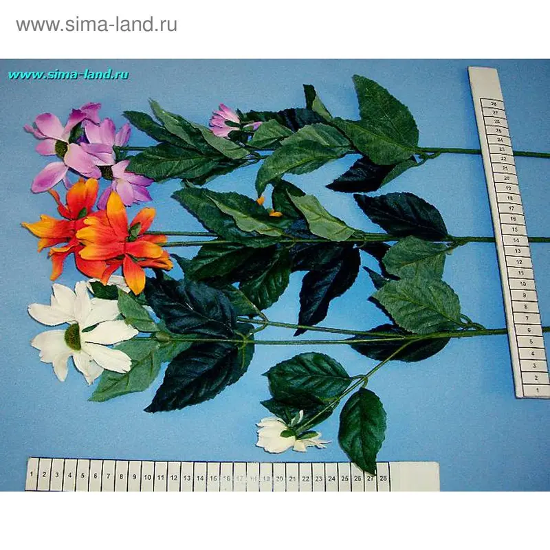 цветы Газания 68 см (минимум 5 шт)