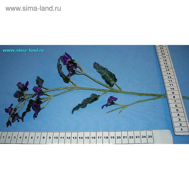 цветы 1228 ветка 58 см