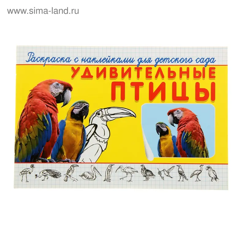Раскраска с наклейками для детского сада. Удивительные птицы