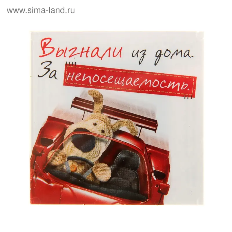 Магнит Boofle "Выгнали из дома…"