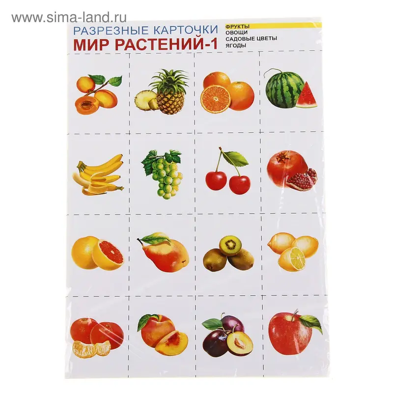 Набор разрезных карточек "Мир растений-1"