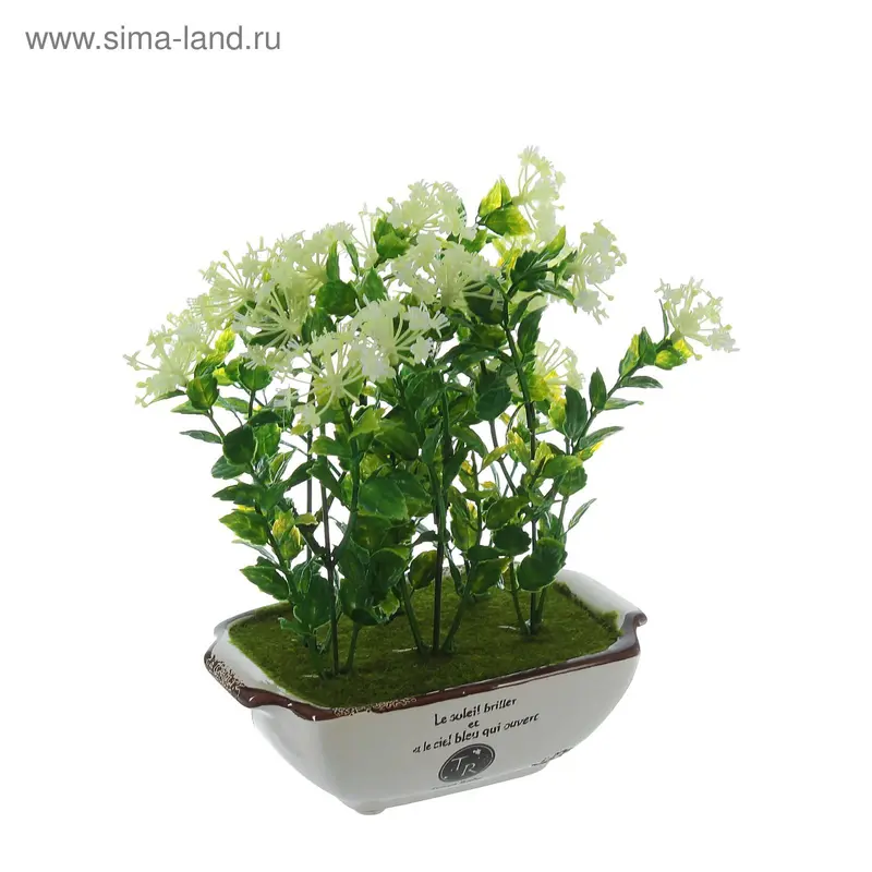 композиция в горшке винтаж 20*15 см