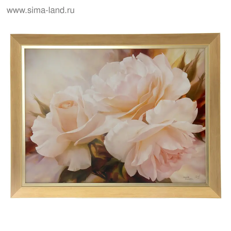 Картина Пионы 884 60х80 см