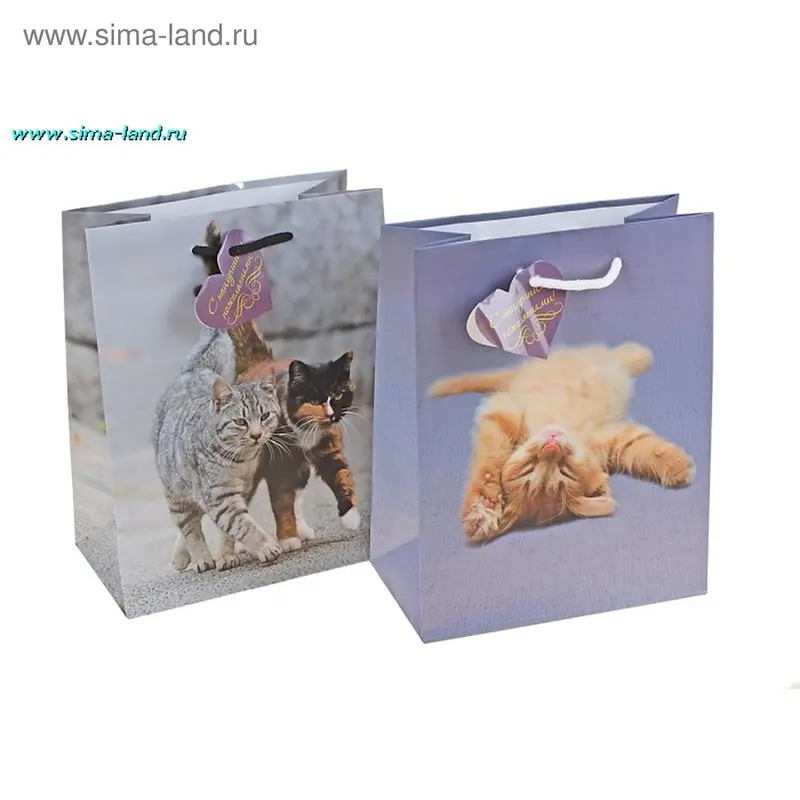 Пакет ламинированный "Коты", цвета МИКС