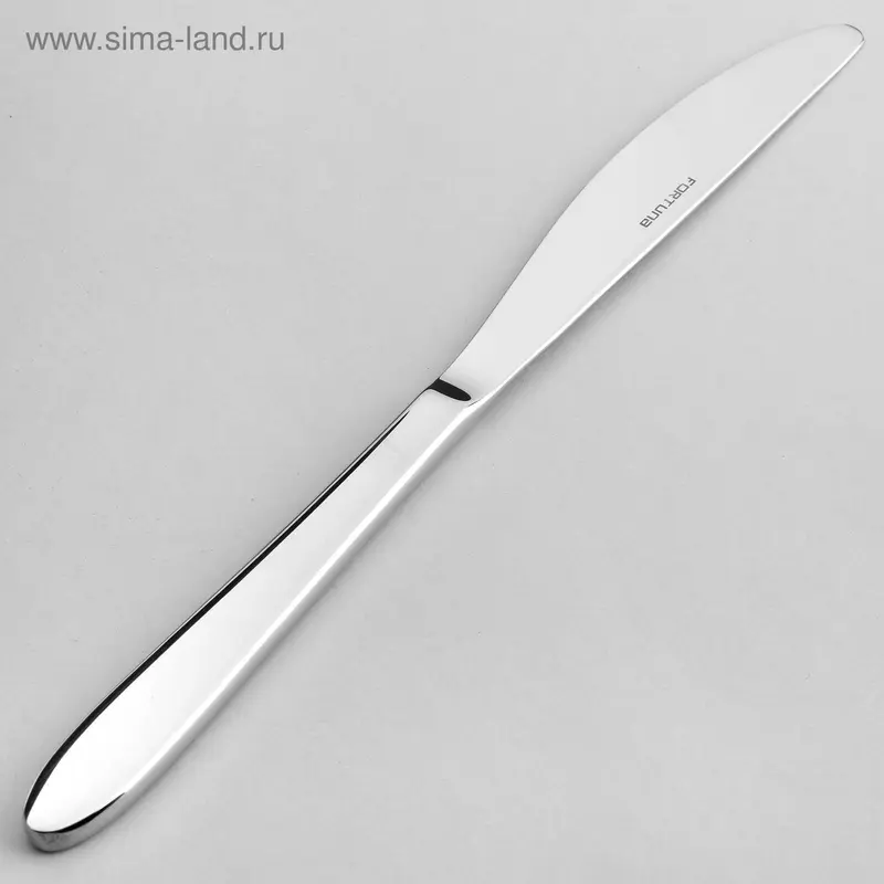 Нож столовый 22,5 см Basel, толщина 2,5 мм