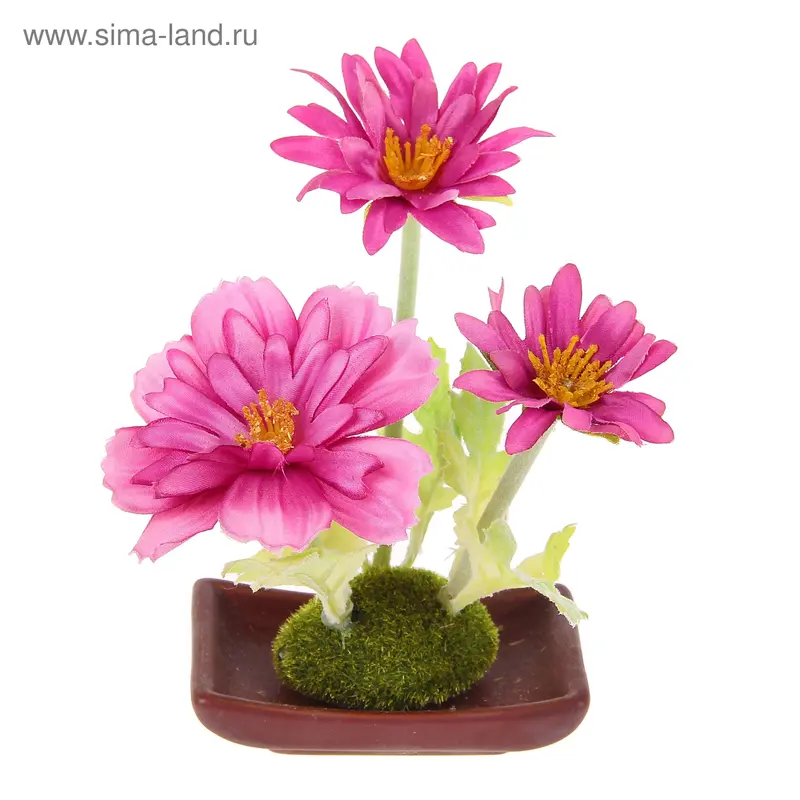 композиция фантазия космея 15*9 см