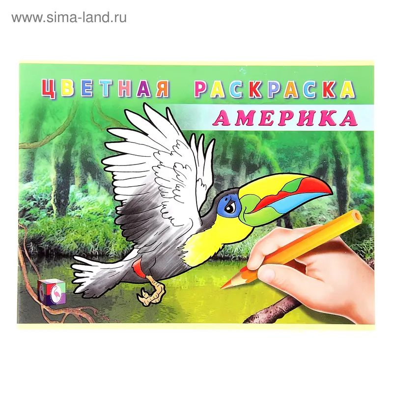 Цветная раскраска "Америка"