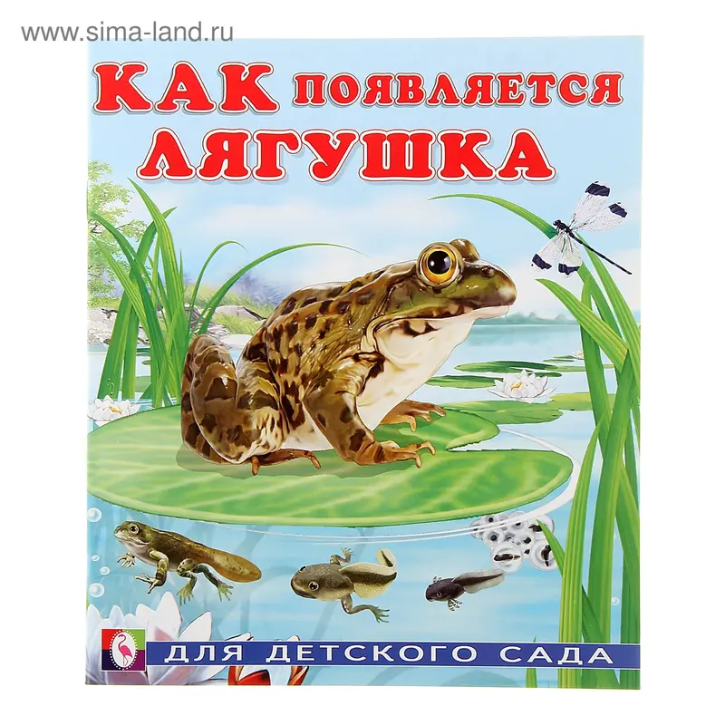 Как появляется…лягушка. Автор Гурина И