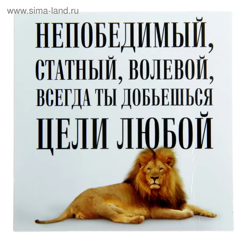 Магнит "Непобедимый, статный, волевой"