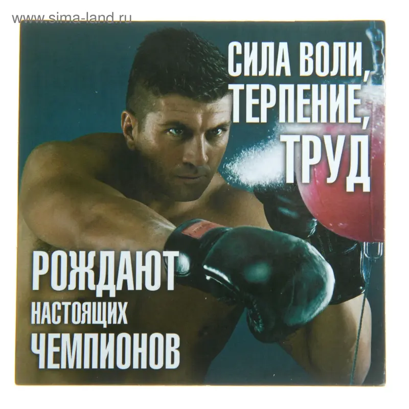 Магнит "Сила воли, терпение, труд"