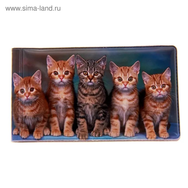 Визитница ПВХ "Котята"