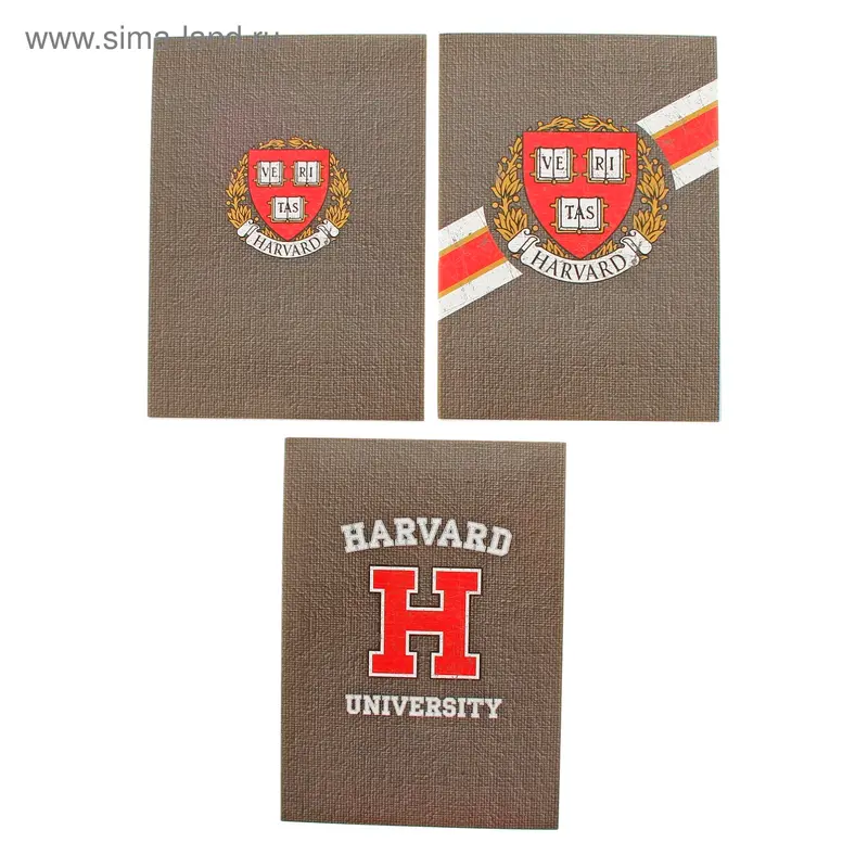 Блокнот А5, 60 листов на клею Harvard. Grey, МИКС
