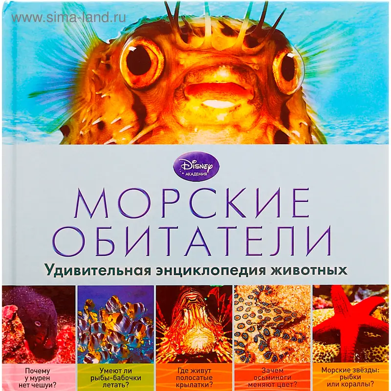 Морские обитатели