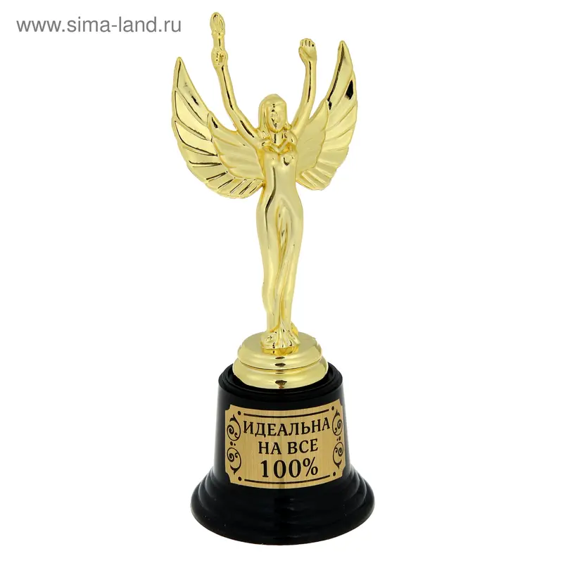 Фигура Ника "Идеальна на все 100%"