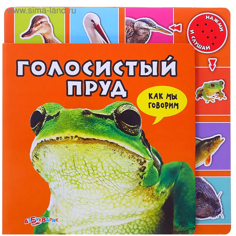 Книга музыкальная «Голосистый пруд», 12 страниц